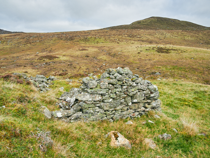 Riecharlotte &copy; george logan